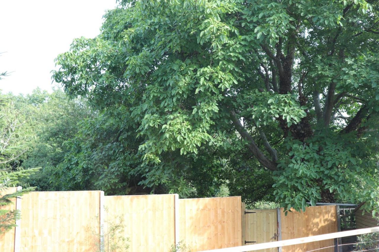 Walnut Tree View Villa Oxford Dış mekan fotoğraf